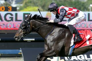 The Mitigator claimed his first Group win in the Group Three Eagle Technology Stakes (1600m).